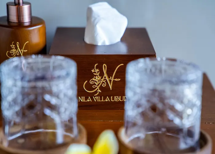 Villa Nila Ubud Tegallalang (Bali)